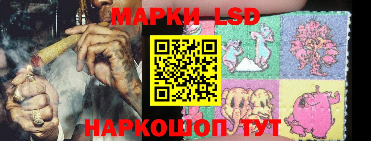 где можно купить наркотик  Марки NBOMe 1500мкг  Марки 25I-NBOMe  Вход с VPN  Калининград 