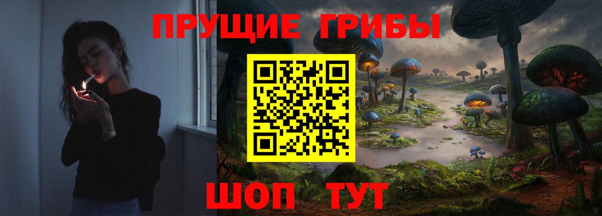 Калининград  как найти   Вход с VPN  Псилоцибиновые грибы Psilocybe 